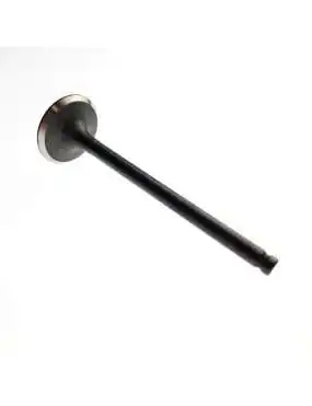 EXHAUST VALVE