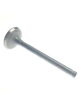 Exhaust Valve