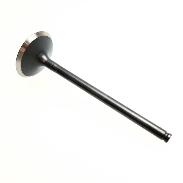 EXHAUST VALVE