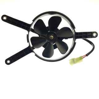 fan