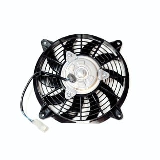 Fan