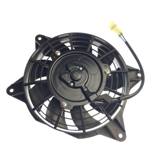 Fan