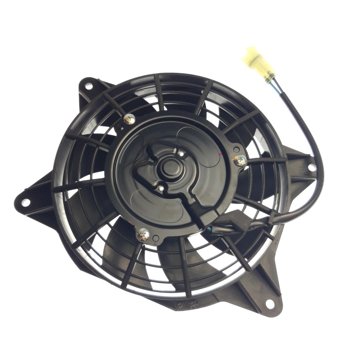 Fan