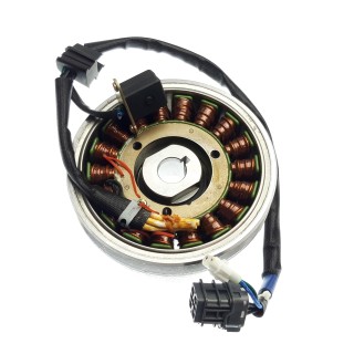 FLYWHEEL MAGNETO ASSY