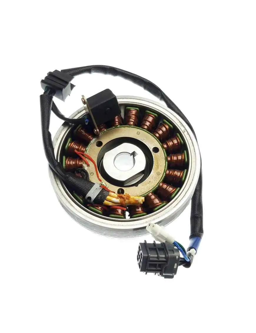 FLYWHEEL MAGNETO ASSY