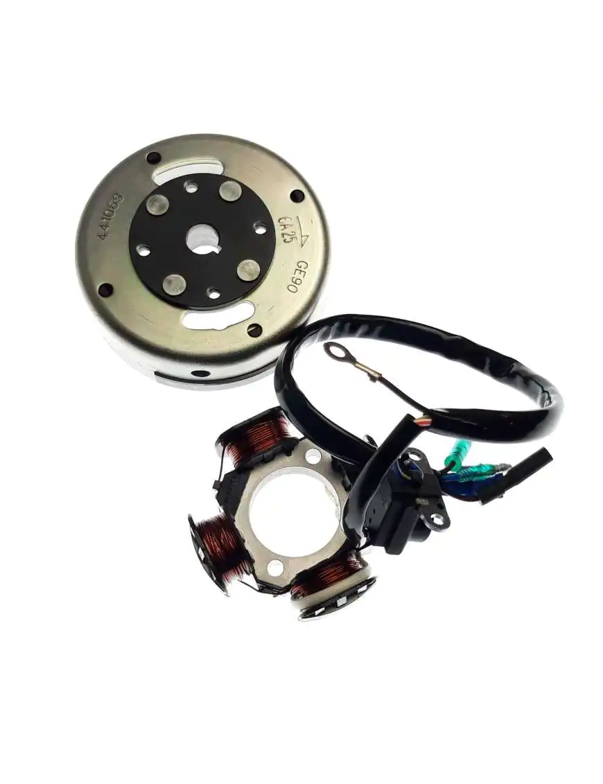 FLYWHEEL MAGNETO ASSY