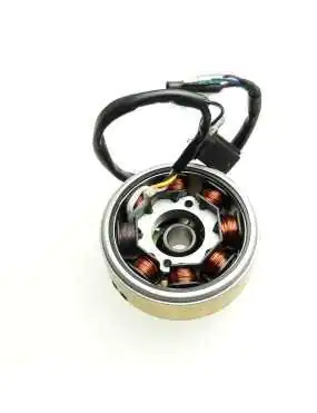 FLYWHEEL MAGNETO ASSY