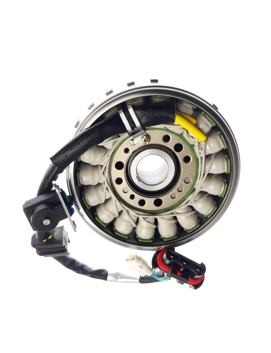 FLYWHEEL MAGNETO ASSY