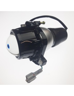Front Low Beam Assy