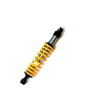 Gas Shock Absorber, Rear