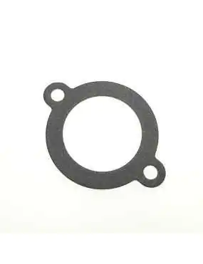 Gasket Thermostat