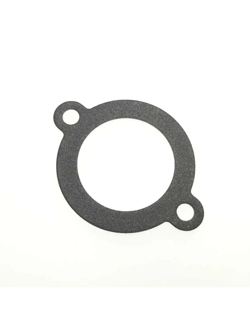 Gasket Thermostat