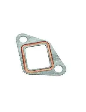 Gasket, Chain Tensioner