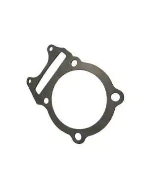 Gasket, Cylinder