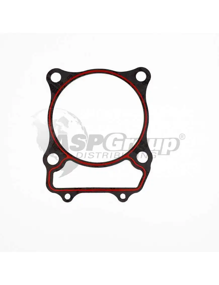 GASKET, CYLINDER