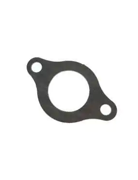 GASKET, SPEEDOMETER GEAR ASSY.