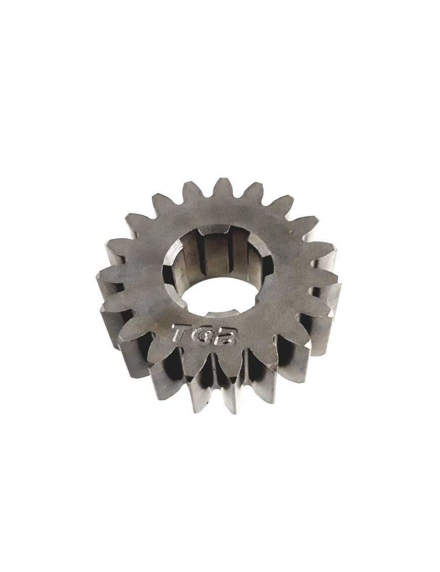 GEAR(19T)