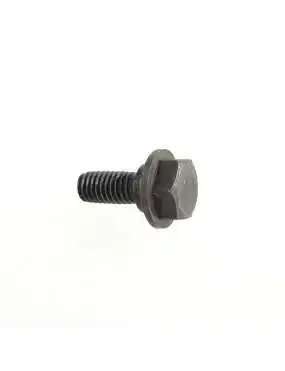 GEARSHIFT CAM STOPPER BOLT