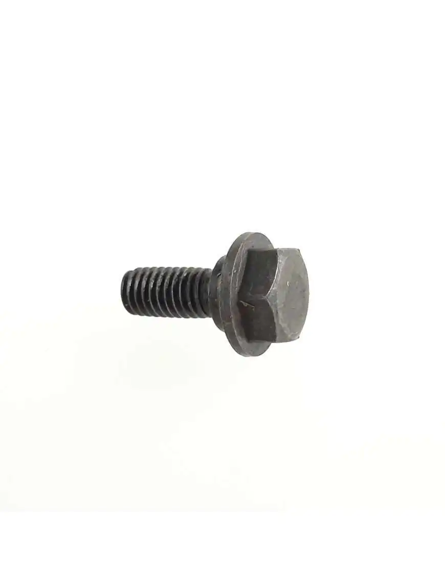 GEARSHIFT CAM STOPPER BOLT