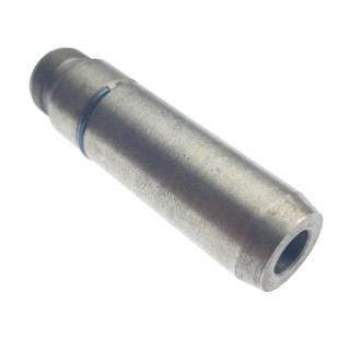 GUIDE INTAKE VALVE