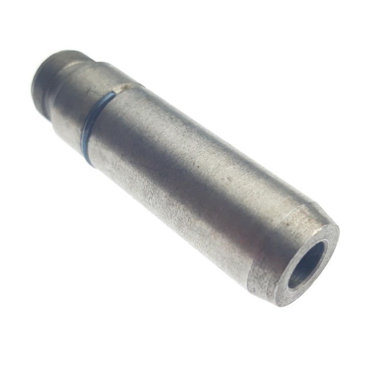 GUIDE INTAKE VALVE
