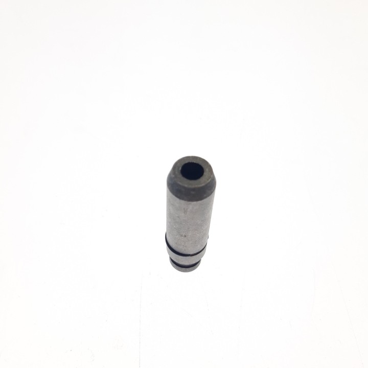 GUIDE INTAKE VALVE
