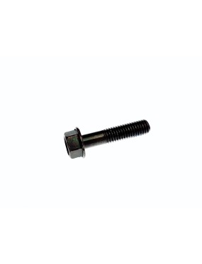 Hex Washer Face Bolt