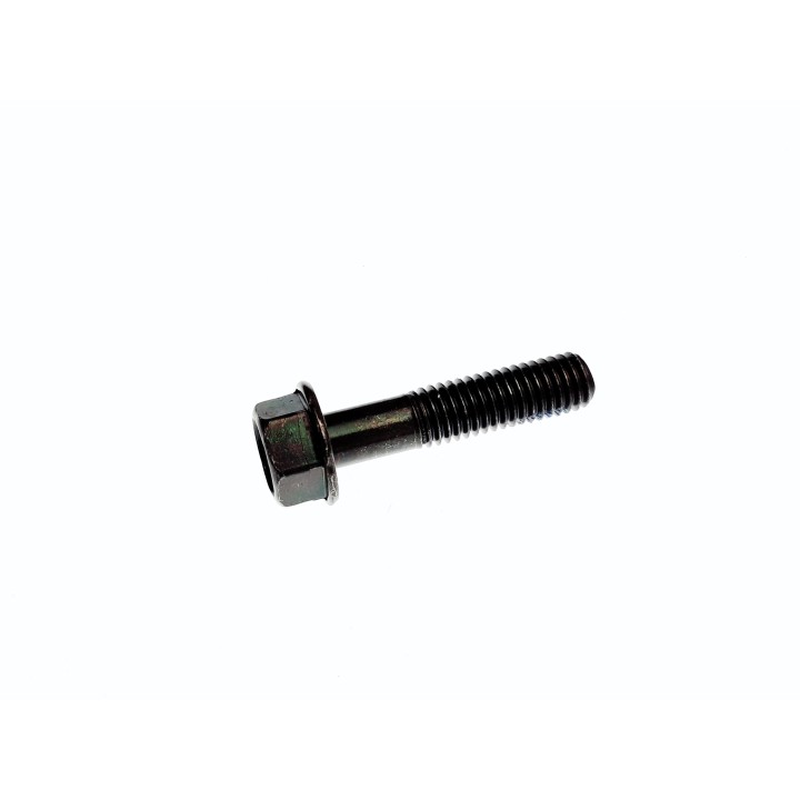 Hex Washer Face Bolt