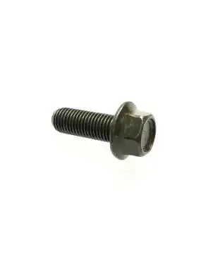 Hex Washer Face Bolt