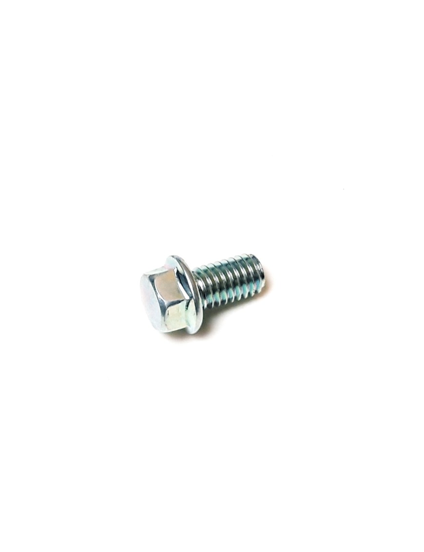 Hexagon Flange Bolt M6×10