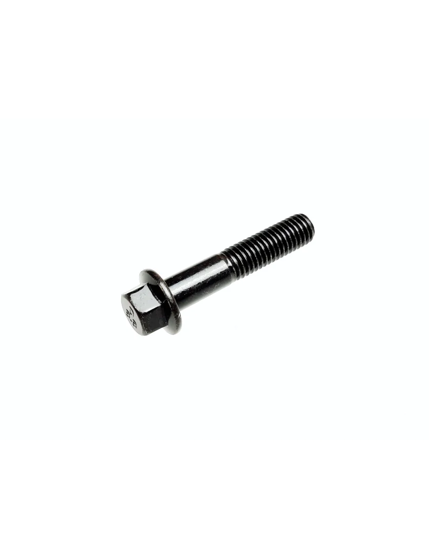 Hexagon Flange Bolt M8X1.25X40