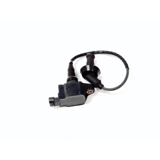 Ignition Coil Comp.