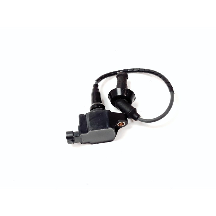Ignition Coil Comp.