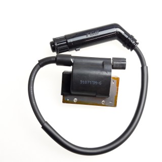 IGNITION COIL, F. CYN.