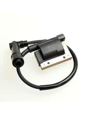 IGNITION COIL, F. CYN.