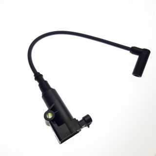 IGNITON COIL AND WIRE