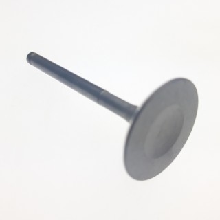 Inlet Valve
