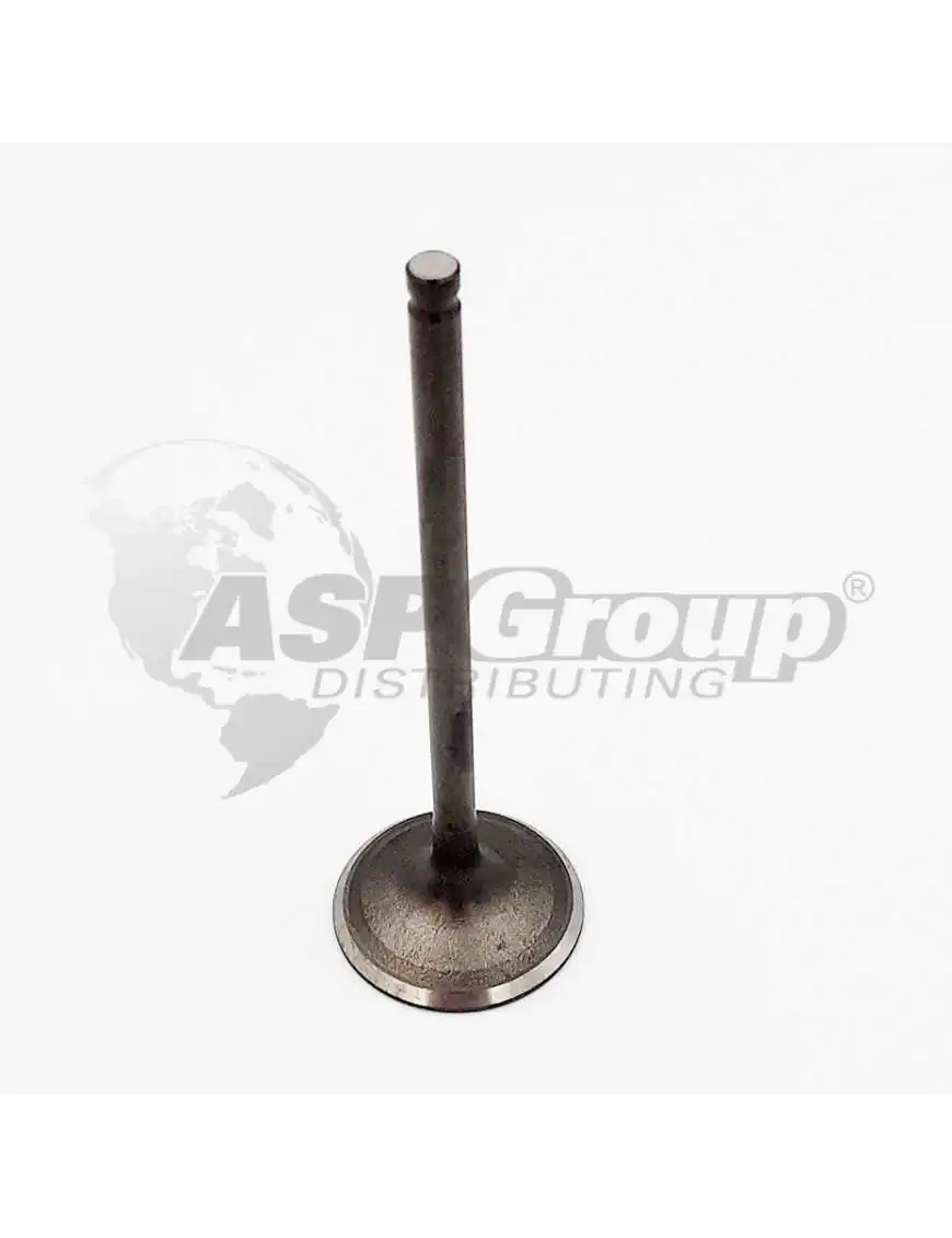 INTAKE VALVE