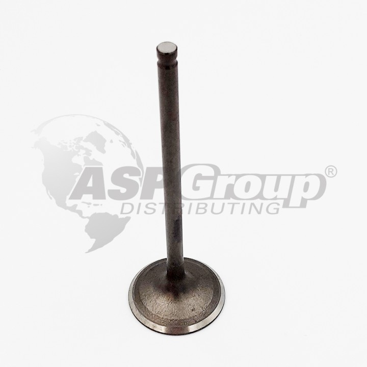 INTAKE VALVE