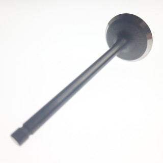 INTAKE VALVE