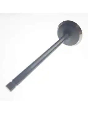 INTAKE VALVE