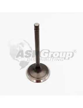 INTAKE VALVE