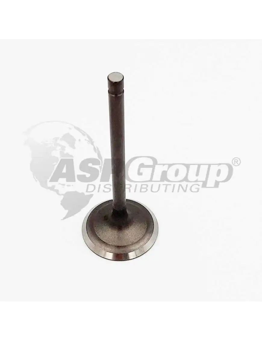 INTAKE VALVE