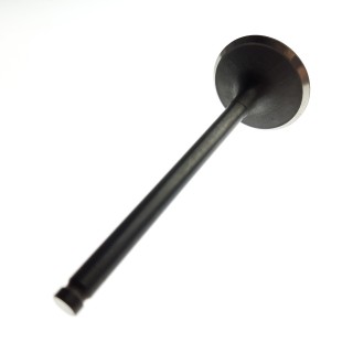INTAKE VALVE