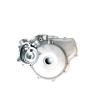 LEFT CRANKCASE COVER ASSEMBLY