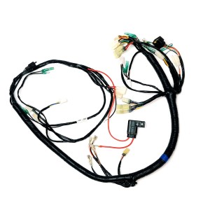 Main Wire Ass'y