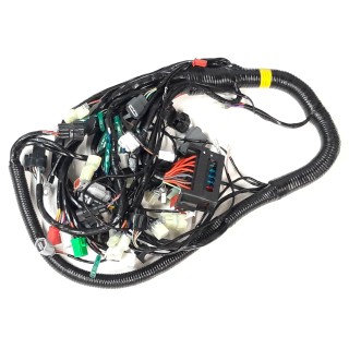 Main Wire Assy