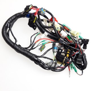 Main Wire Ass´y