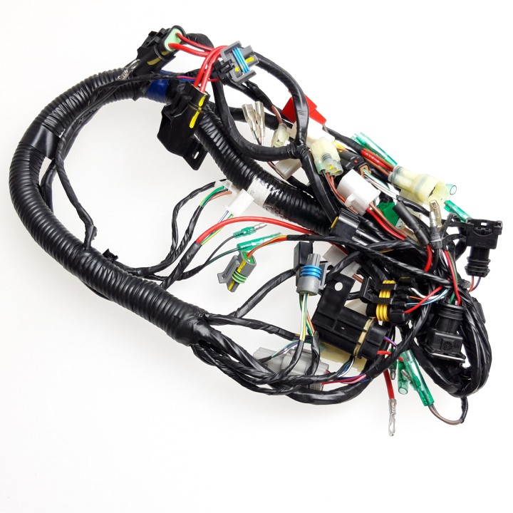 Main Wire Ass´y