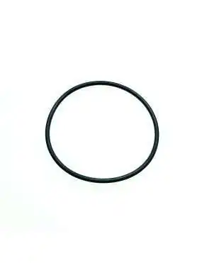 O-RING SEAL 61.5*2.65